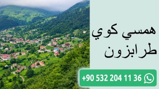 همسي كوي طرابزون